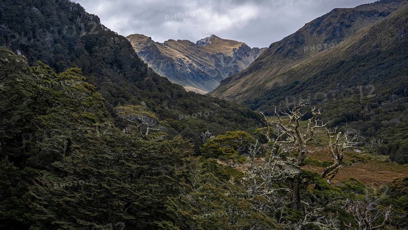 Mountainous landscape along Borland Road, Fiordland National Park, Southland Region, South Island, New Zealand