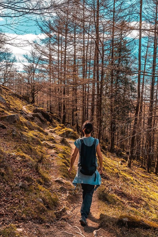 A young woman with a backpack on the pine trail on Mount Adarra in Guipuzcoa. Basque Country