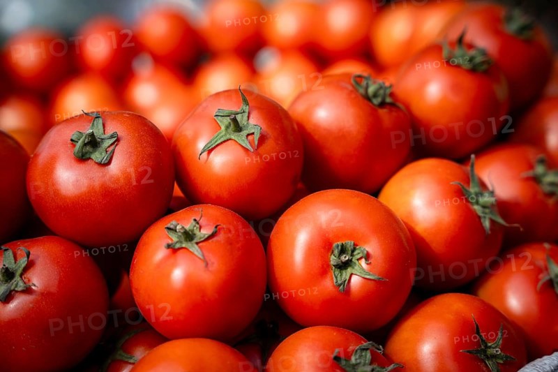 Tomatoes displayed for sell