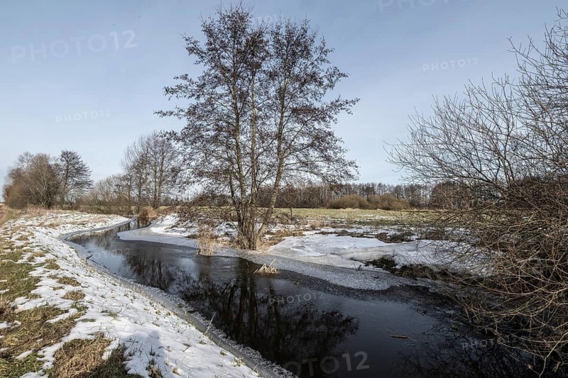 Stream with alders (Alnus glutinosa), Fischerhuder Wümmeniederung, Lower Saxony, Germany