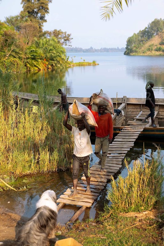 Rwandan men carry sandbags on their heads from a wooden boat to the shores of Lake Kivu or Lake Kivu, Kibuje or Karongi, Rwanda