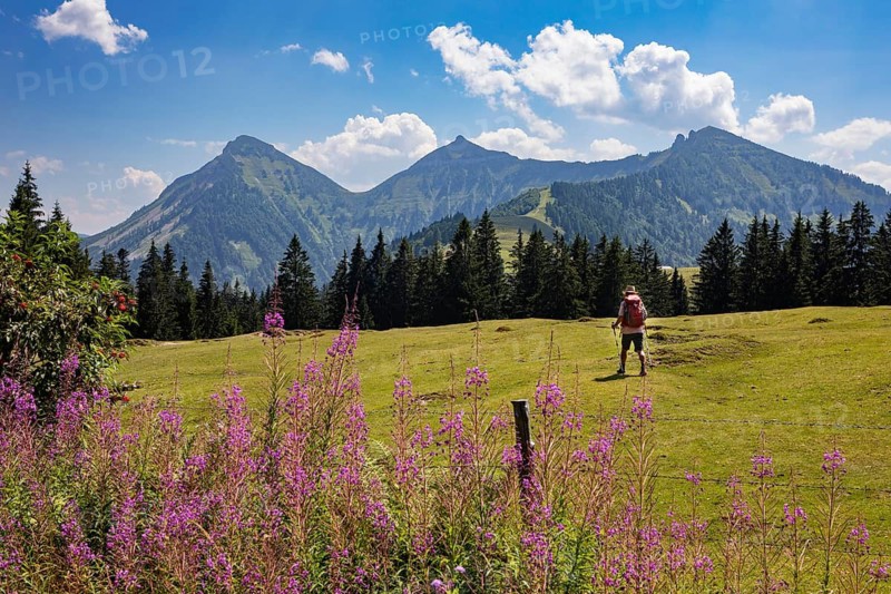 Mountain landscape, alpine meadow with hikers on the Feichtensteinalm, Hintersee, Osterhorngruppe, Salzkammergut, province of Salzburg, Austria