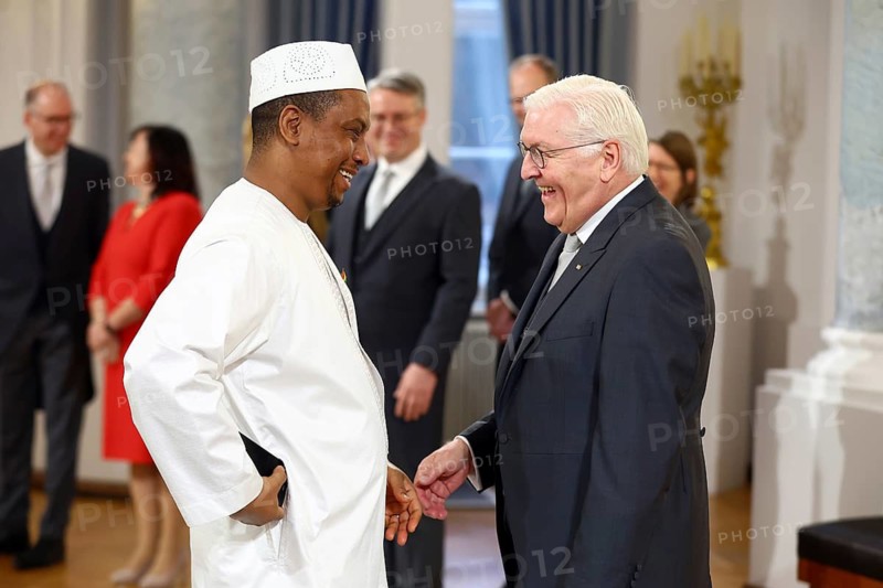 Aliou Barry Guinea is received by Frank-Walter Steinmeier (President of the Federal Republic of Germany) in front of the Federal President's New Year's Reception at Bellevue Palace, Berlin 14 January 2025