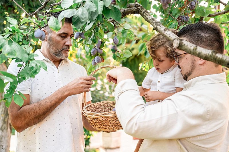 A gay couple shares a bonding moment with their young son under a lush fruit tree, nurturing and teaching him about nature. The scene radiates family love and harmony