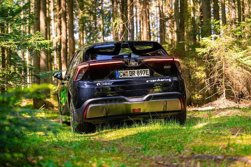 Black car parked in the forest, framed by trees and sunlight, Deer E- Carsharing, Calw, Black Forest, Germany