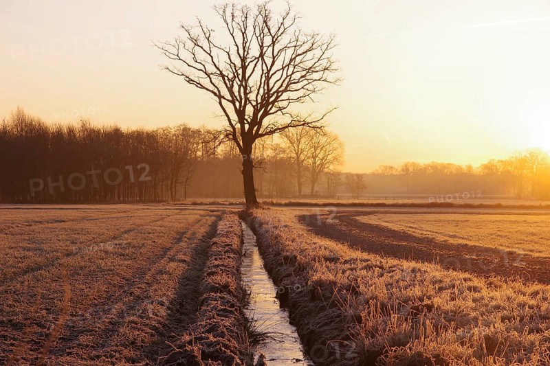 Landscape, winter, sunrise, frost, stream, tree, lighting mood