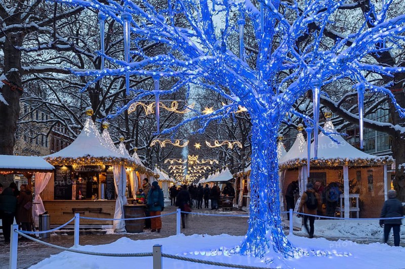Illuminated tree in blue on the Augustusmarkt, Christmas market on the main street in the snow, Dresden, Saxony, Germany