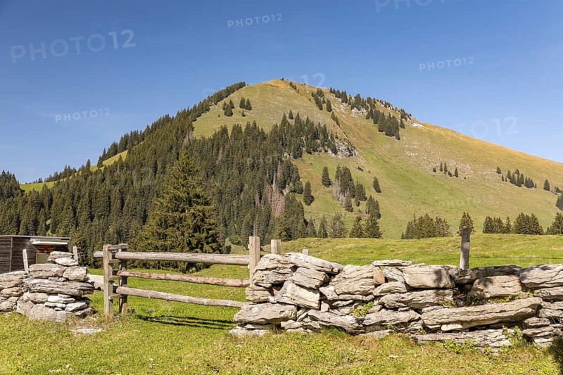 Old wall made of quarry stones as the boundary of a pasture, with the Gulme peak in the background, Arvenbüel, Amden, St. Gallen, Switzerland
