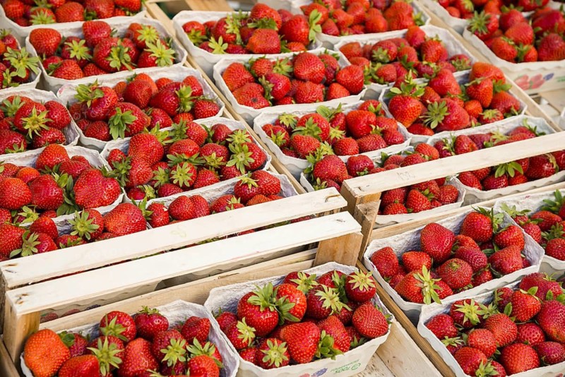 Freshly harvested strawberries (Fragaria), weekly market market, Neu-Ulm, Bavaria, Germany