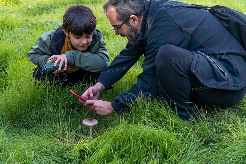 A father and son crouch in the grass, closely examining a mushroom. The father uses a smartphone to identify it while the child watches with curiosity, enjoying a nature-based learning moment