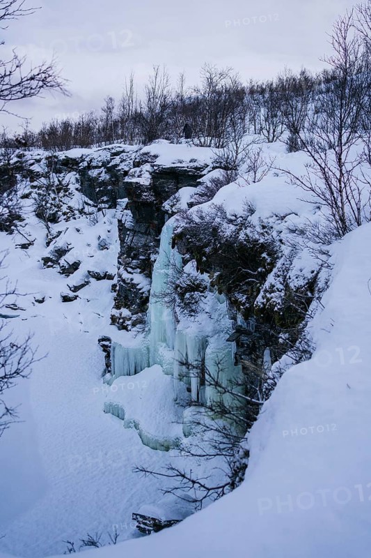 A stunning frozen waterfall set against the rugged, snow-covered cliffs of Swedish Lapland. Bare trees scattered across the serene winter landscape add to nature's beauty