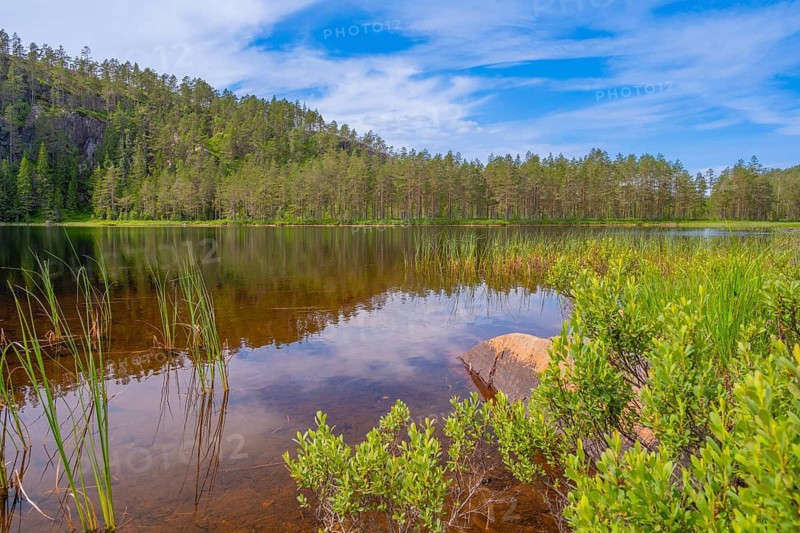 View of Lake Kaldvatn, Kviteseid, Telemark, Norway