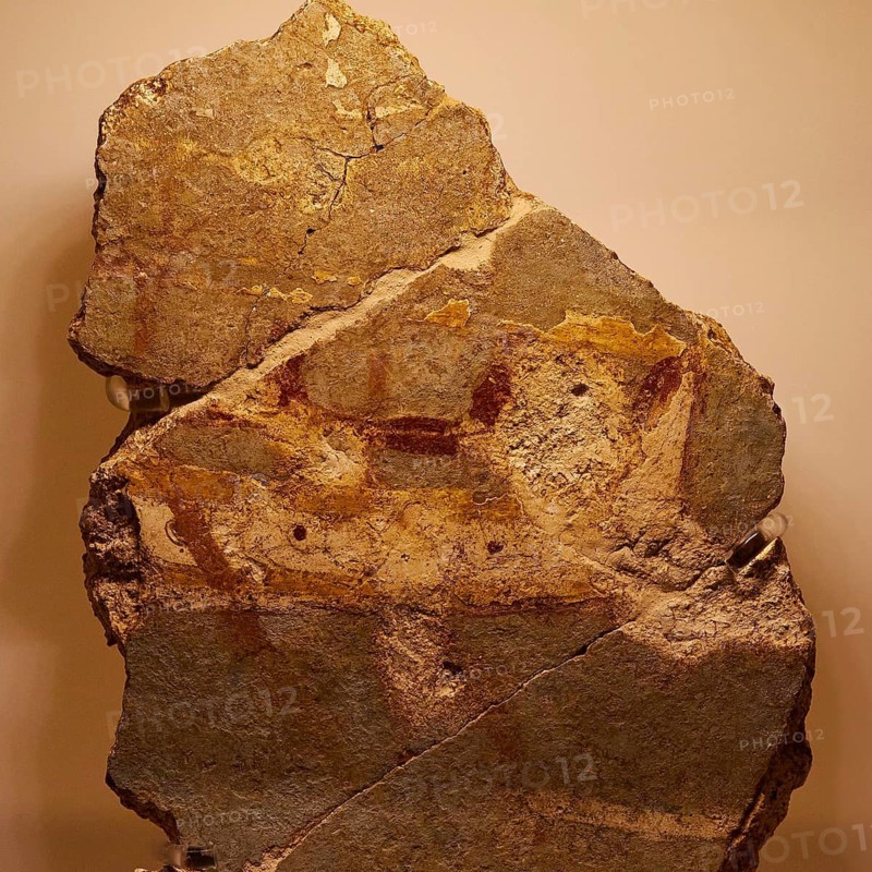 Early Mycenaean wall rock painting, prehistoric rock painting with rudimentary animal figures in earthy tones, Pylos Archaeological Museum, Neokastro, Pylos, Peloponnese, Greece