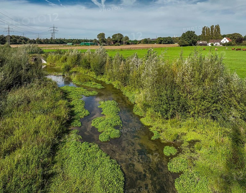 Bottrop-Gladbeck, North Rhine-Westphalia, Germany, Renaturalised Boye, the tributary of the Emscher, was transformed into a near-natural watercourse, flood protection and biodiversity through newly designed floodplains. Following the construction of a parallel sewer, the Boye is now free of wastewater, is part of the Emscher river system and thus part of the Emscher conversion, was previously an open, above-ground wastewater sewer, combined sewer with surface water and wastewater