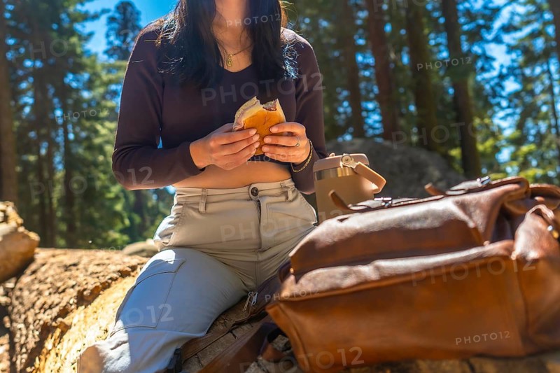 Woman enjoying a sandwich while sitting on a fallen log, taking a refreshing break during her hiking adventure surrounded by tall trees and lush nature