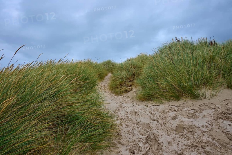 Narrow path through dense dune landscape in cloudy weather, Clachtoll Beach, Clachtoll, Lairg, Scotland, United Kingdom, Great Britain