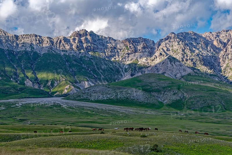 Mountain landscape with horses around the Campo Imperatore high plateau in the Gran Sasso and Monti della Laga National Park in Abruzzo. Apennines, Italy, Southern Europe