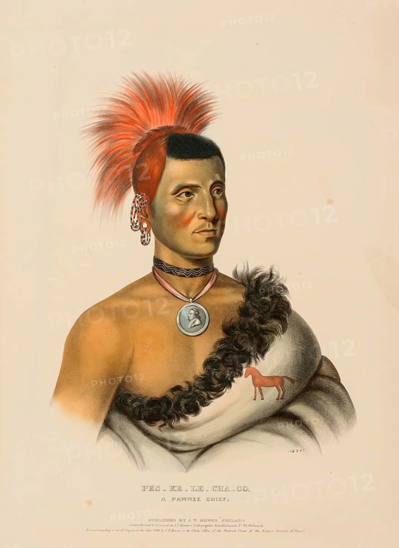 Pes-Ke-Le-Cha-Co, A Pawnee Chief (1841), Native American, Historical Native American tribes from North America, Charles Bird King (1785, 1862), Historical, digitally restored reproduction from a 19th century original, Record date not stated