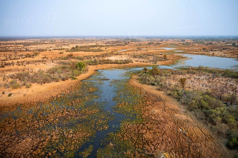 Wetland, landscape, aerial view of the Okavango Delta, near Maun, Okavango Delta, Botswana