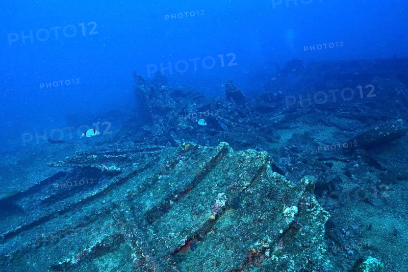 Part of an old shipwreck, covered with marine life, dive site wreck Le Vapeur, Giens peninsula, Provence Alpes Côte d'Azur, France