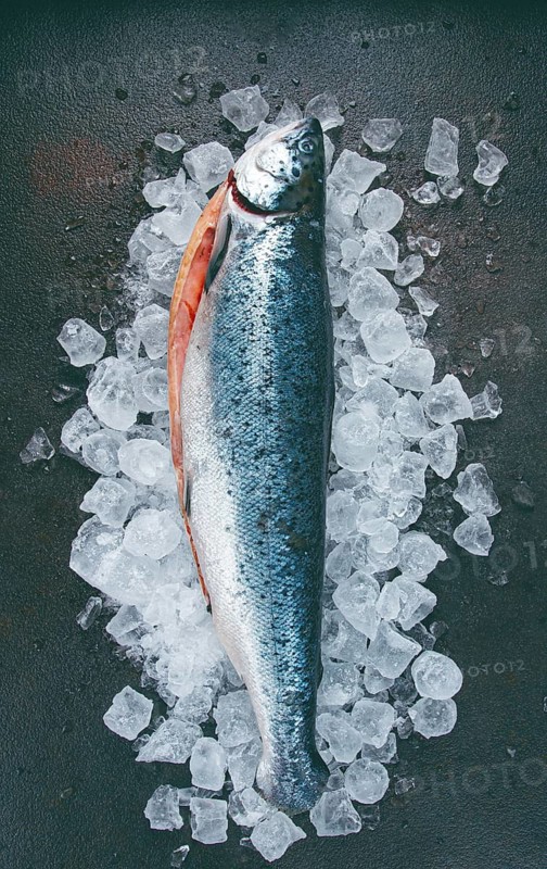 Freshly frozen salmon on ice, ready to cook, top view, dark background
