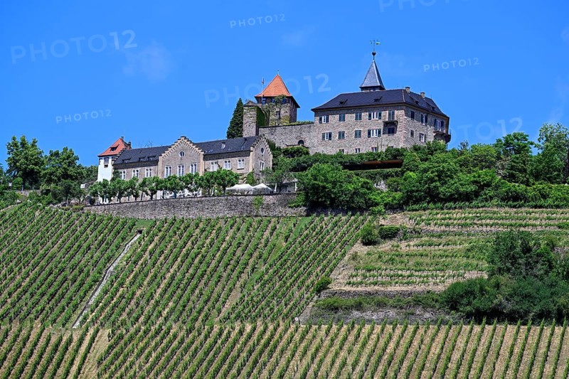 Eberstein Castle, near Weisenbach, Murgtal, Rastatt district, Northern Black Forest, Baden-Württemberg