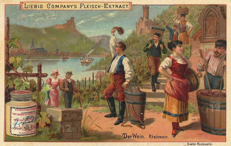 Picture series The wine, Rhine wine from Germany, Liebig picture, digitally restored reproduction of a collector's picture from around 1900, public domain, exact date unknown, villagers harvesting grapes in the picturesque Rhine valley with a lively summer atmosphere