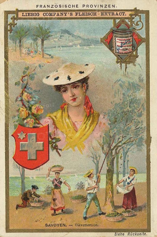 Picture series French provinces, France, Savoy, olive harvest, Liebig picture, digitally restored reproduction of a collector's picture from ca 1900, public domain, exact date unknown, woman in traditional dress in front of a Swiss landscape with workers in the background