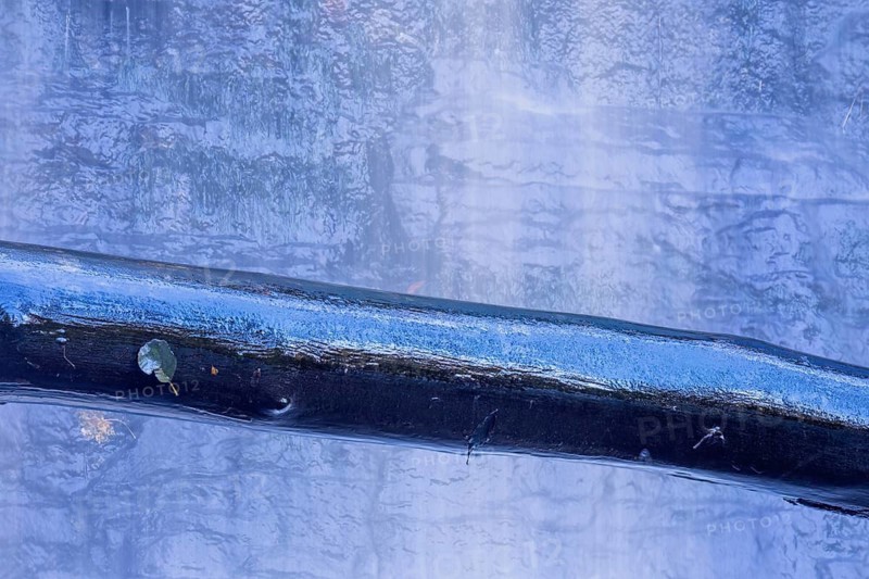 Wet log by a waterfall with a rock face in the background