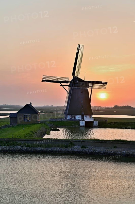 Historic windmill in the light of the setting sun, De Traanroeier, Het Noorden Molen, Texel, North Holland, Netherlands