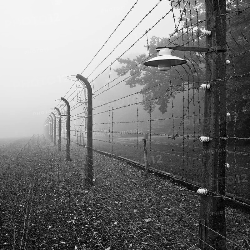 Reconstructed camp fence in the fog at beech forest concentration camp, now a concentration camp memorial, Weimar, Thuringia, Germany