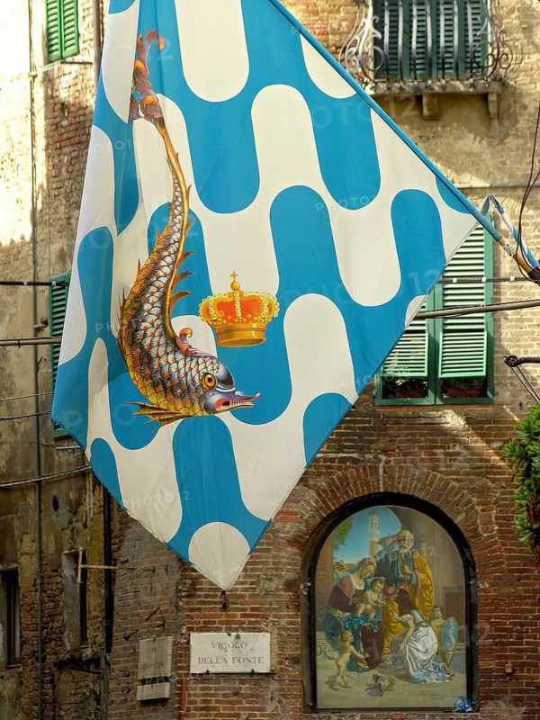 Il Palio di Siena, historical horse race, flags with dolphin of the Contrada Capitana dell Onda, district of the wave, alley of the historic centre, Siena, Tuscany, Italy