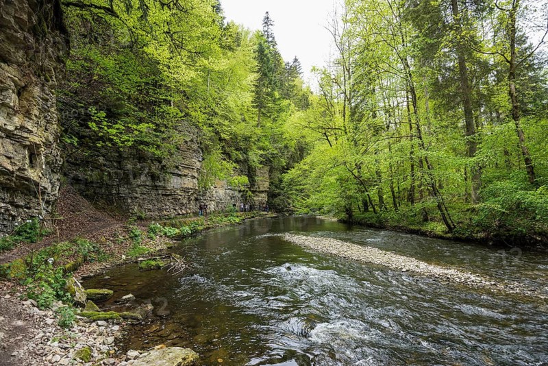 Hiking trail by the river, Wutach Gorge, Bonndorf, Baden-Württemberg, Black Forest, Germany