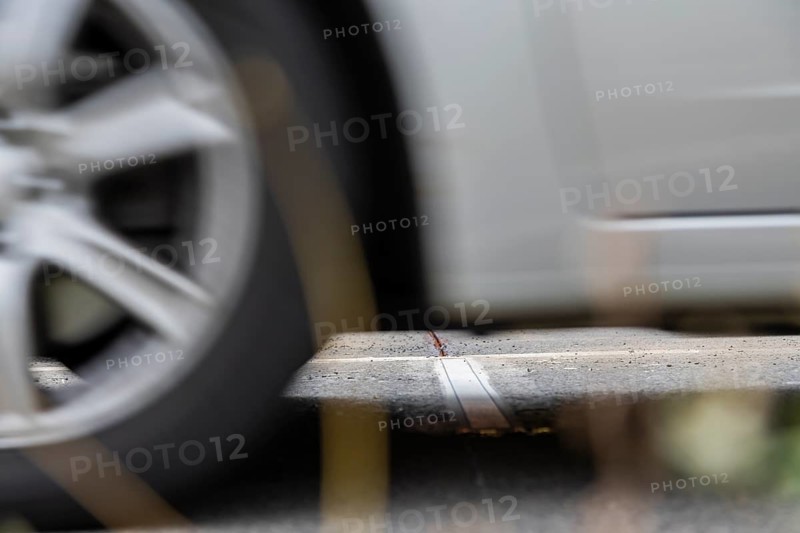 As part of the Smart City model project, several measurement points are being set up in Dresden's main transport network. Axle load sensors, contact loops and temperature sensors are placed on the road. They record data, such as the weight of the passing vehicles. The technology for such a measuring point is currently being installed on the B170/ Bergstraße in the direction of the city between Kohlenstraße/Südhöhe. The data can then be used to create model calculations for road conditions and the necessary maintenance intervals, Dresden, Saxony, Germany