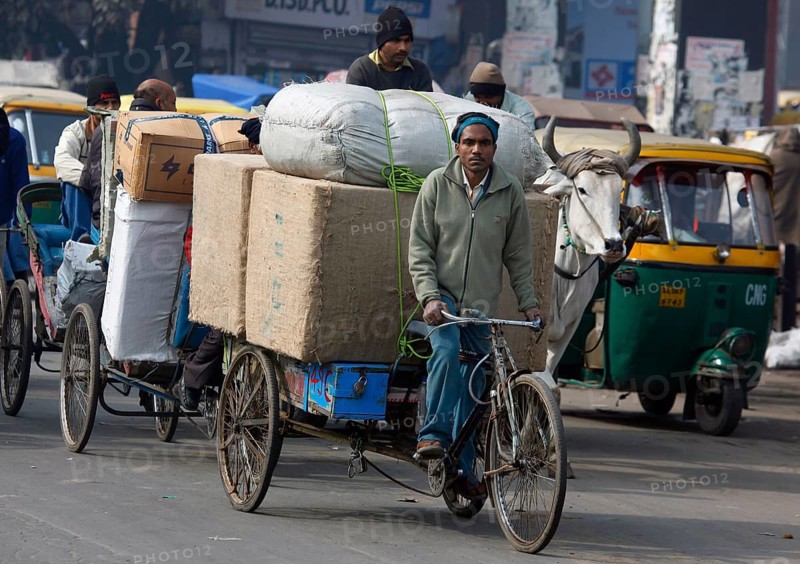 New Delhi, India, 15.01.10 - Rickshaws, bicycles and tuk tuk taxis on a street in Neu-Dehli, India