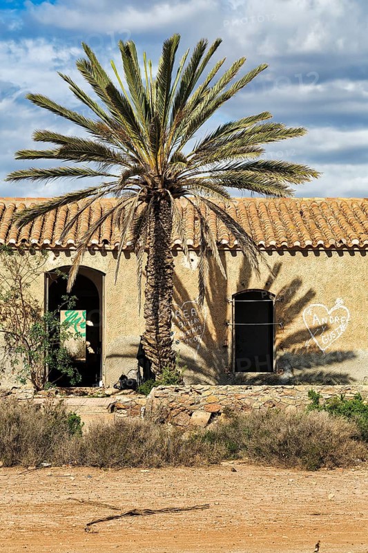 Palm tree casts drop shadow on abandoned house, Almeria, Andalucia, Spain