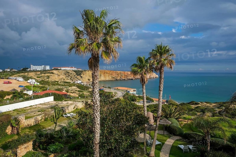 Sagres, Algarve, Portugal - Palm trees on the town beach Praia da Mareta, with the Ponta da Atalaia viewpoint in the background