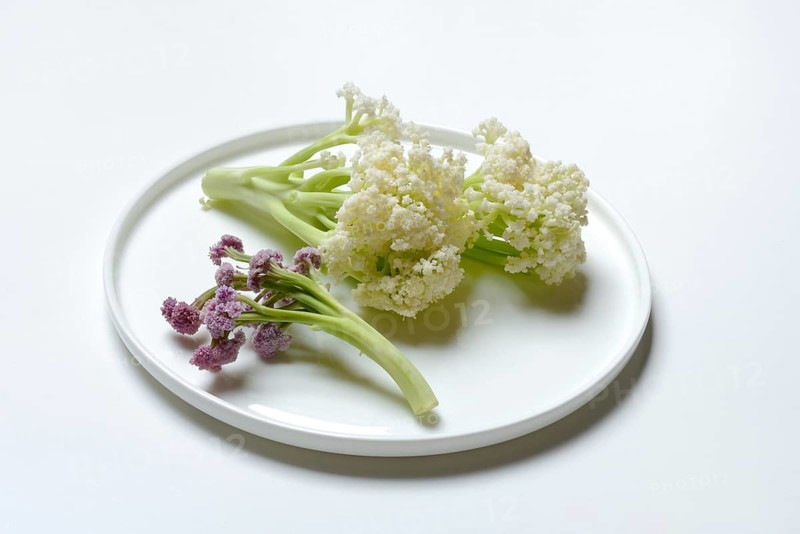 Fioretto, a cross between cauliflower and broccoli. The flowers are reminiscent of coral, vegetables