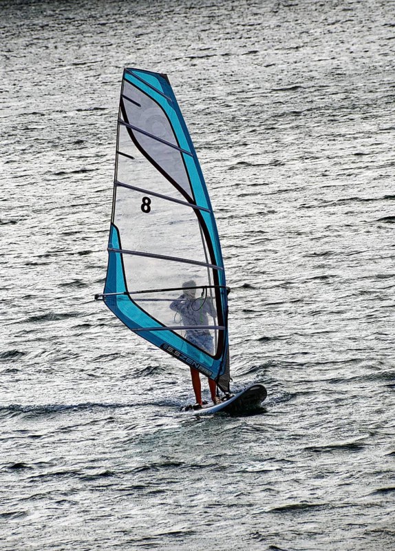 Windsurfer on the water in the harbour of Funchal, Sea, Funchal, Madeira, Portugal