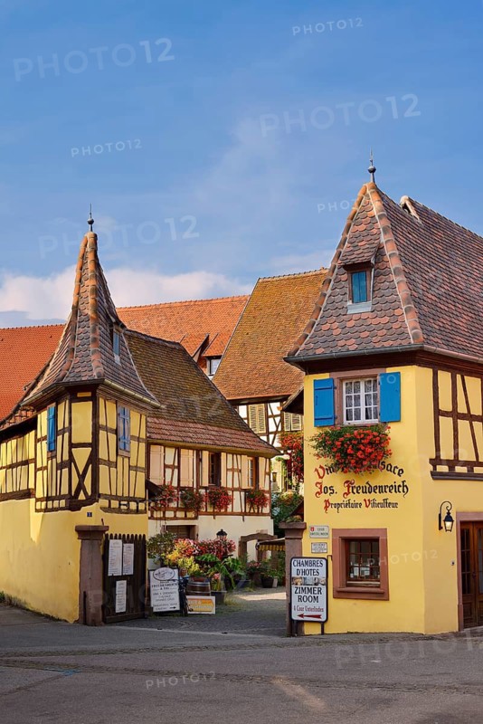Weingut Joseph Freudenreich, Unterlindenhof, Eguisheim, Haut-Rhin, Alsace, Grand Est, France