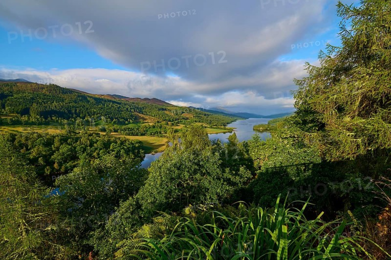 View of a vast river landscape through a dense canopy of leaves, Queens View, Fincastle, Pitlochry, Scotland, United Kingdom, Great Britain