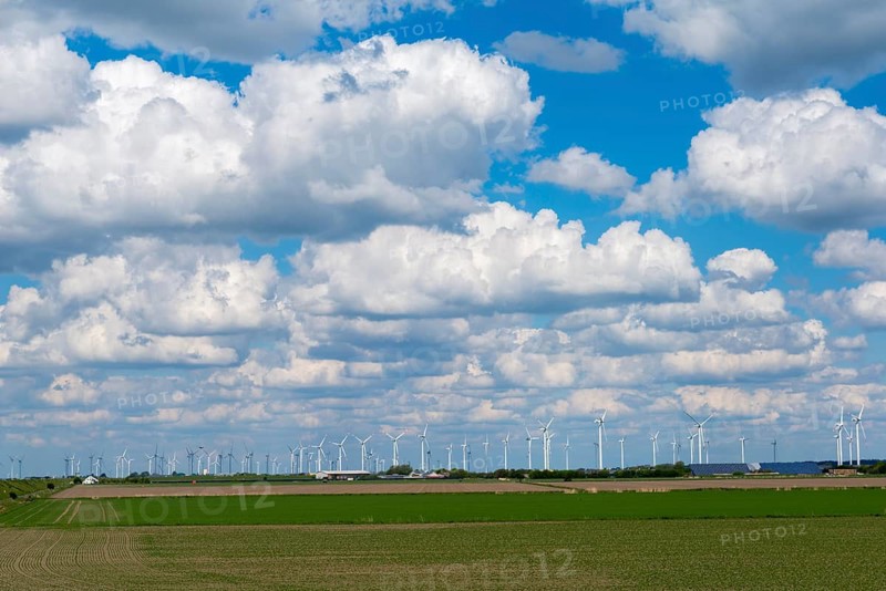 Wind turbines in the Reußenköge Bürgerwindpark, North Frisia, clean energy, power generation, economy, technology, field cultivation, farmhouse, agriculture, spring, blue sky, west coast of Schleswig-Holstein, Germany