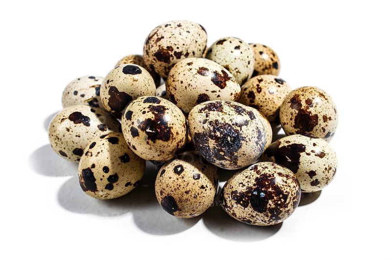 Pile of quail eggs isolated on white background. Closeup