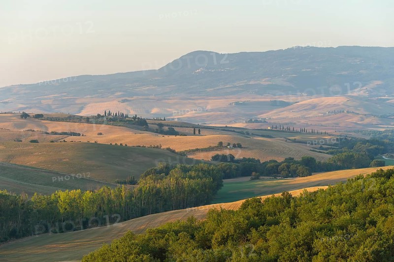 Typical Tuscan landscape in Val d'Orcia with hills, trees, fields, farmhouses and cypresses at sunrise in summer, Tuscany, Italy