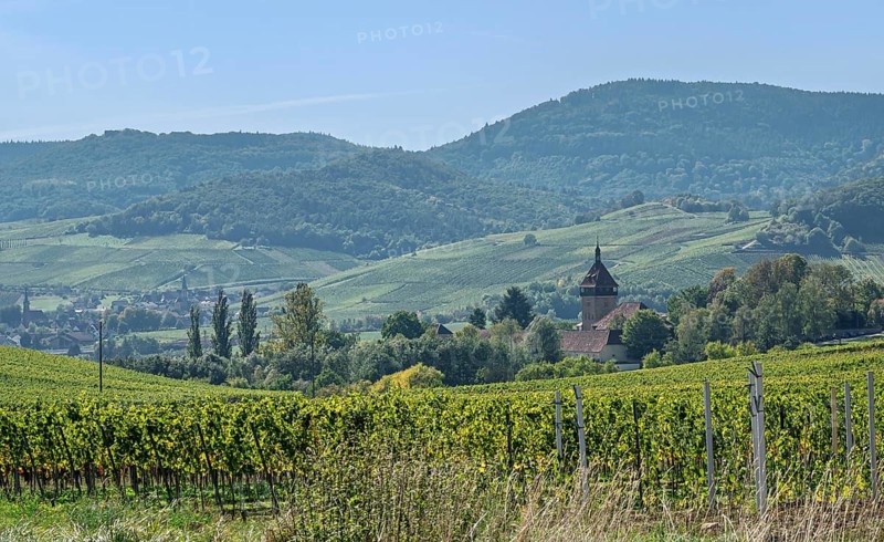 View of the Geilweilerhof, Siebeldingen, German Wine Route, South Palatinate, Rhineland-Palatinate, Germany