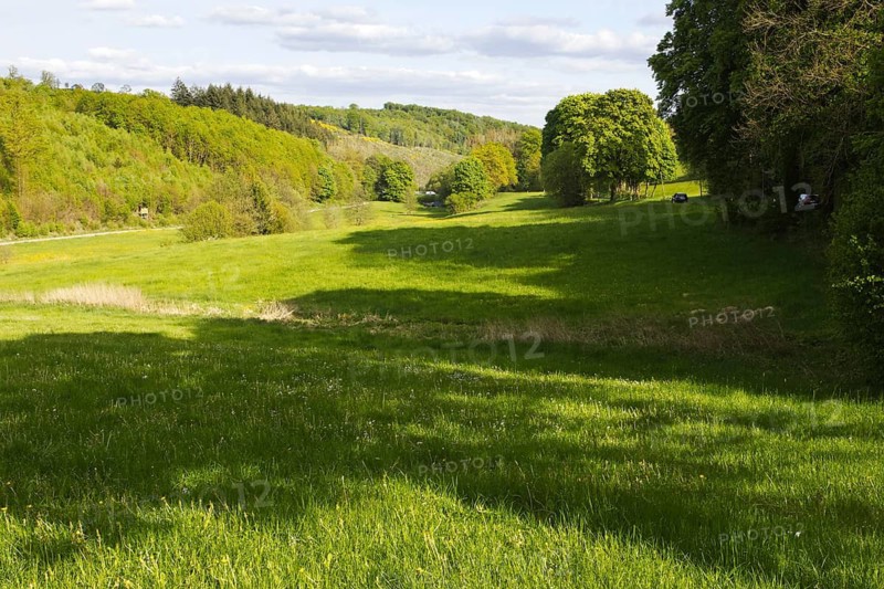 Wide green meadow landscape with shadows of trees in the background, Siegen