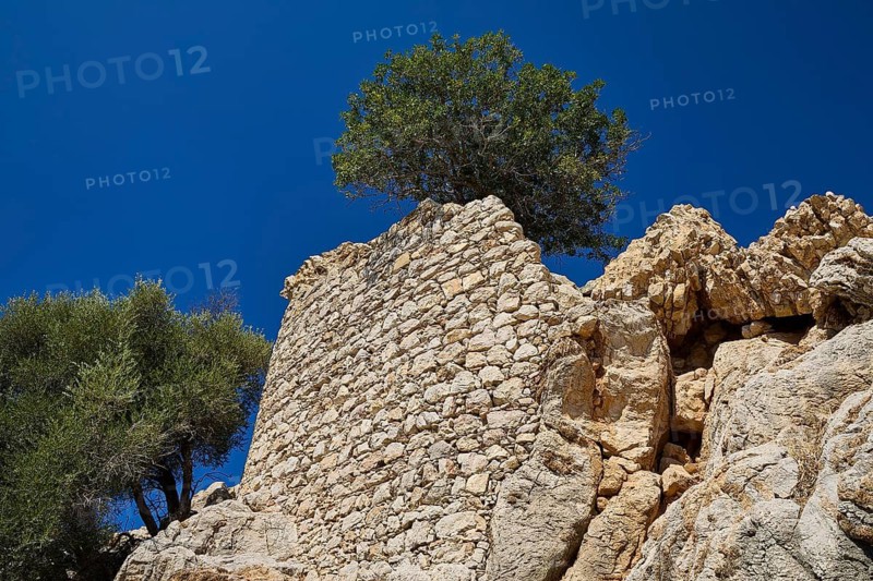 Single tree on rock with old stone wall under bright blue sky, Lost Place, Abandoned Village, Mikro Chorio, Church of the Assumption of Mary, Zero Waste Island, Tilos, Dodecanese, Greek Islands, Greece