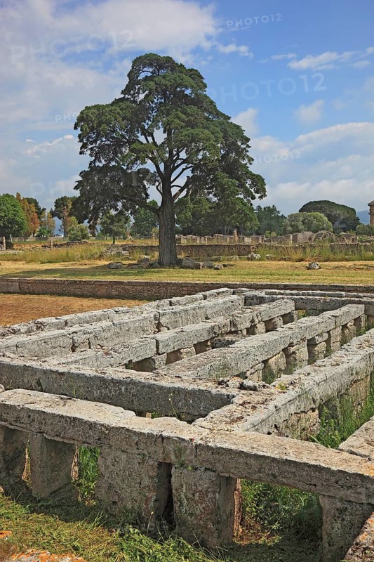 Swimming pool and diving labyrinth in Paestum, Campania, Italy