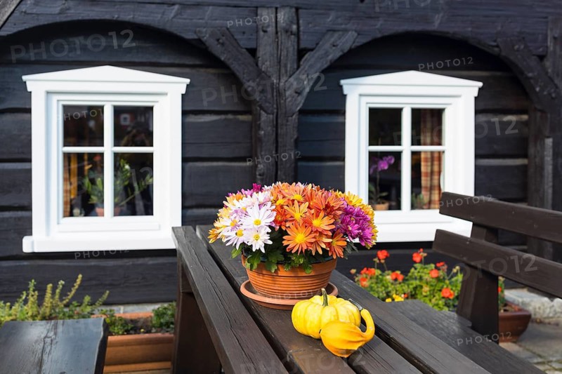 Autumn decoration on a table in front of the tourist information office in an old half-timbered house in Obercunnersdorf, Oberlausitzer Bergland, Saxony, Germany