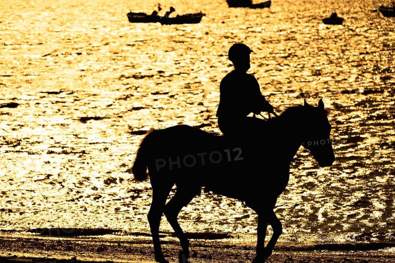 Silhouette of a jockey training a horse on the beach at sunset, with golden reflections on the water and boats in the background in sanlucar de barrameda, spain